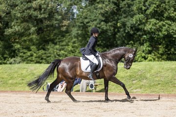 Bild 220 - Pony Akademie Turnier